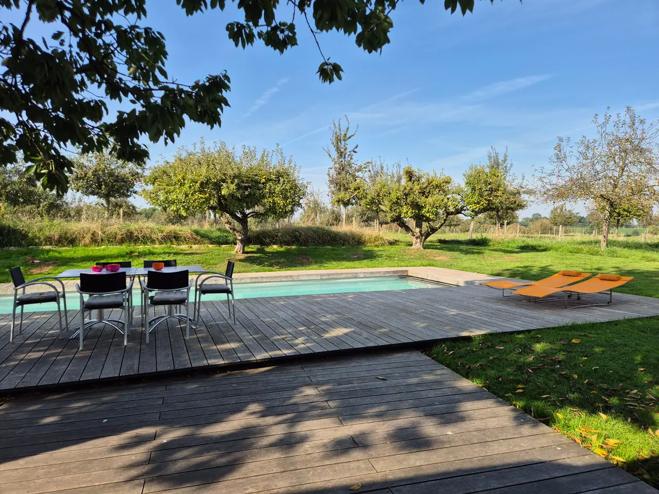 Eettafel voor zes op het terras naast het zwembad, met de boomgaard op de achtergrond